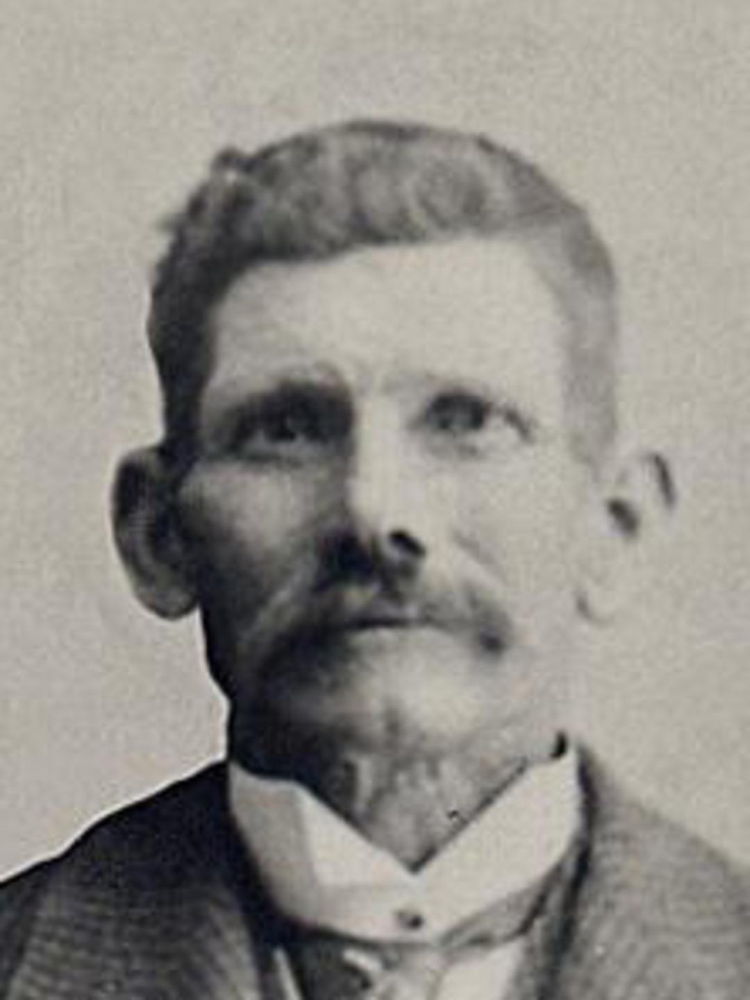 John Nelson Avery (1844 - 1928) Profile